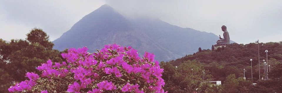 AMBF21's profile banner image