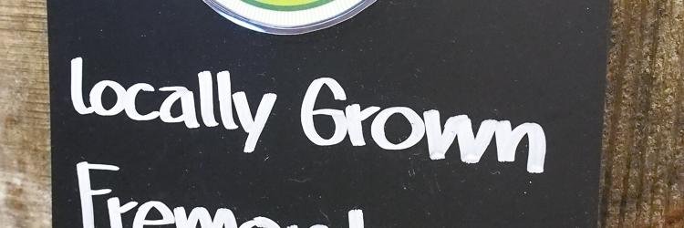 FeedMeFremont's profile banner image
