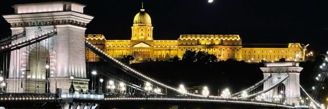 Andrea DiSandro banner