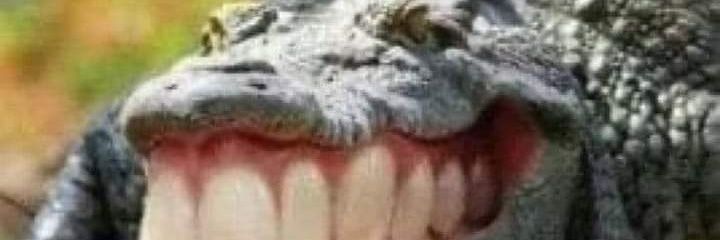 _NariNai_'s profile banner image
