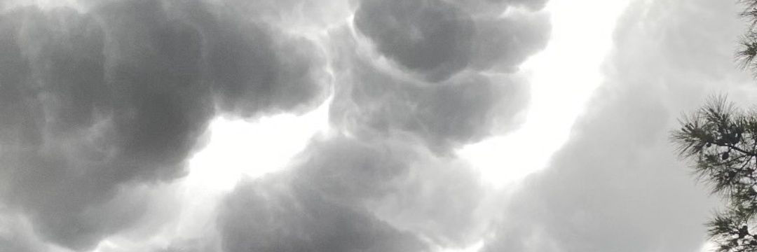 🇮🇷✨️nela✨️ banner