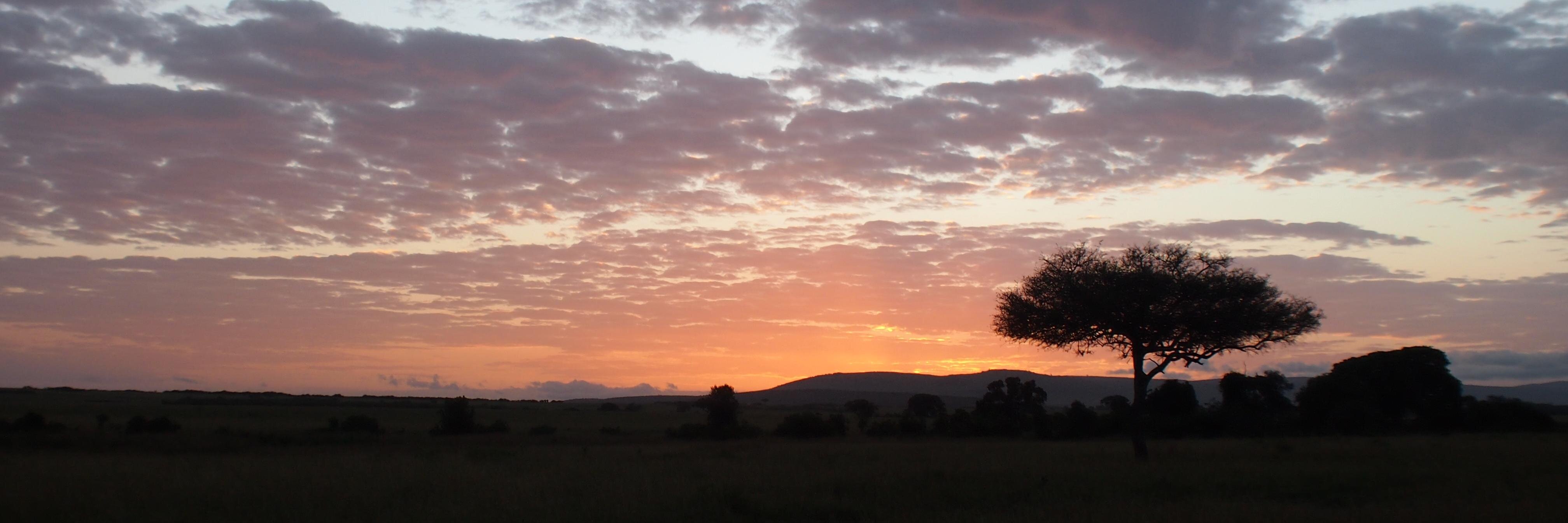 Samir (he/him) banner