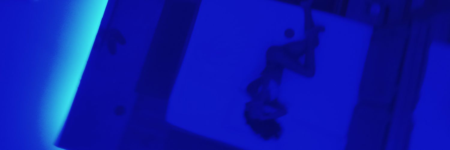 privedatorres's profile banner image