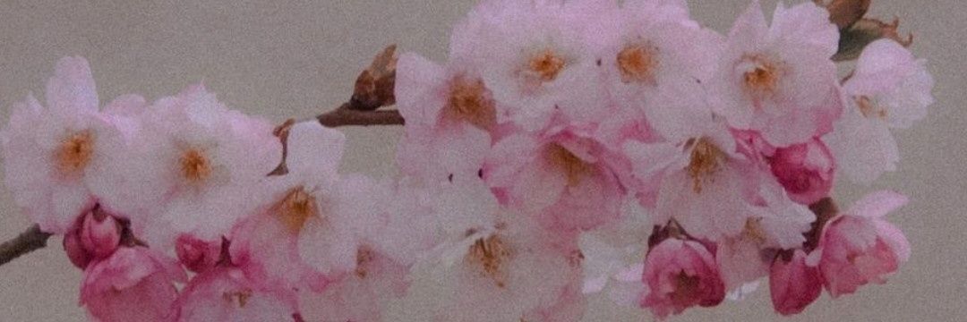 mich_leto's profile banner image