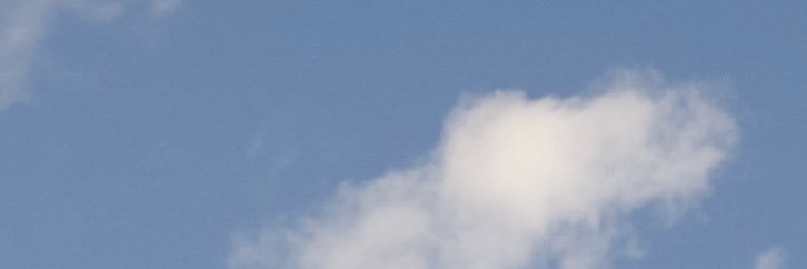 Stupid_duck's profile banner image
