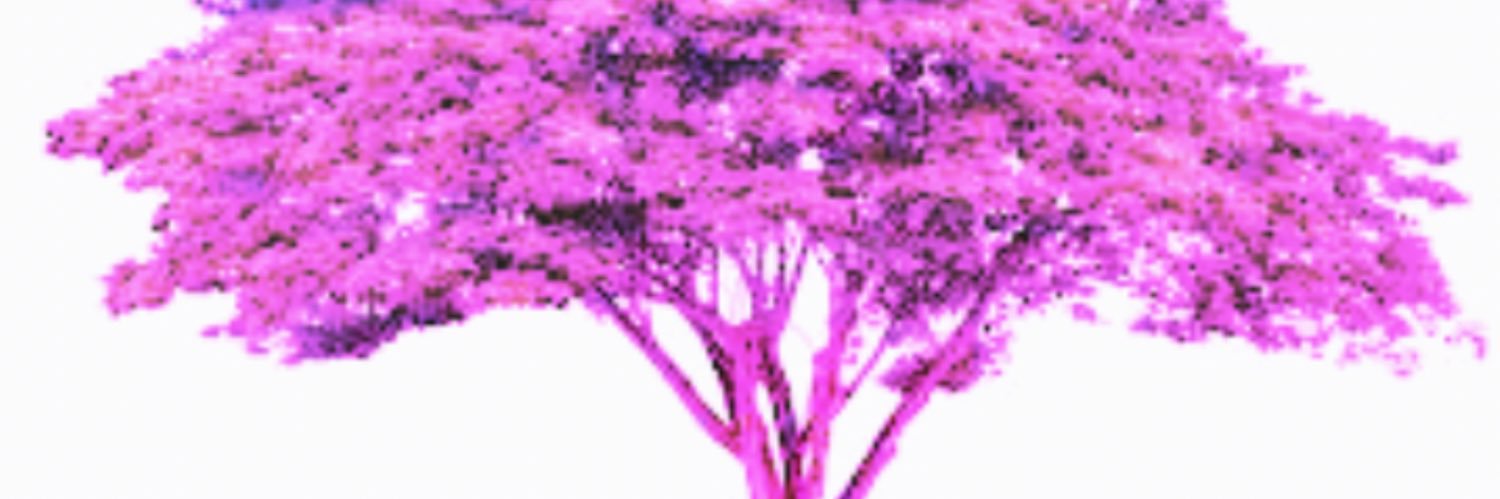 ًً's banner