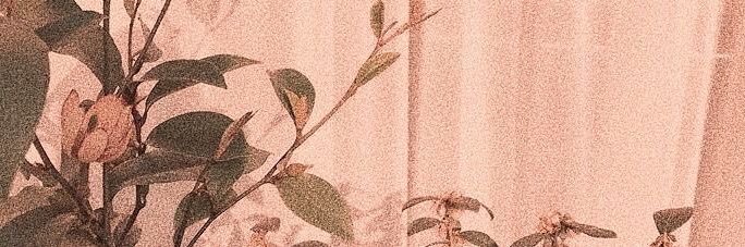 malumoreromano's profile banner image