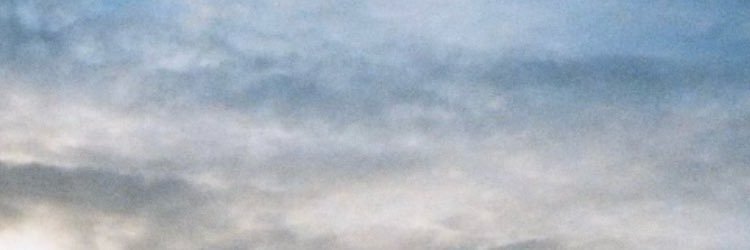 🐋 banner