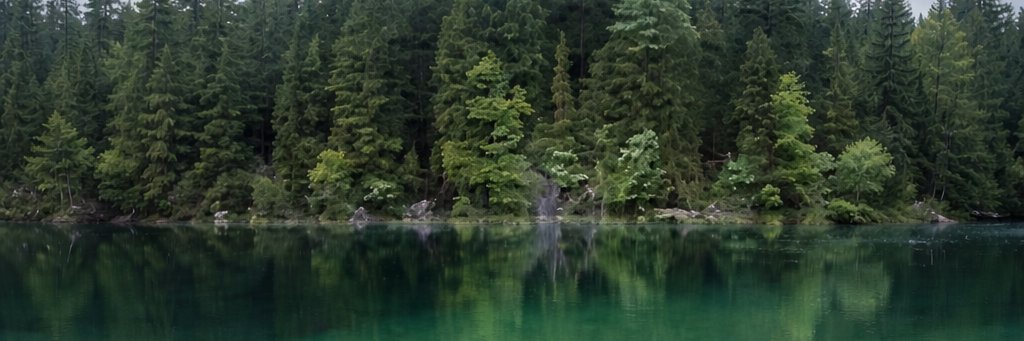 maenzta554341's profile banner image