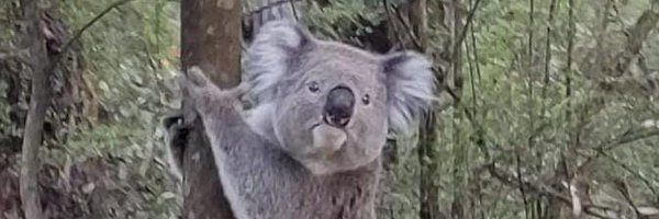 muxmastermann12 Profile Banner