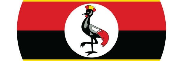 Cymon King (CK) banner