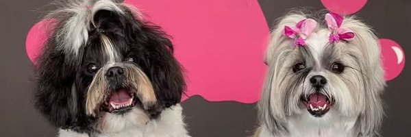 mapy75_ Profile Banner