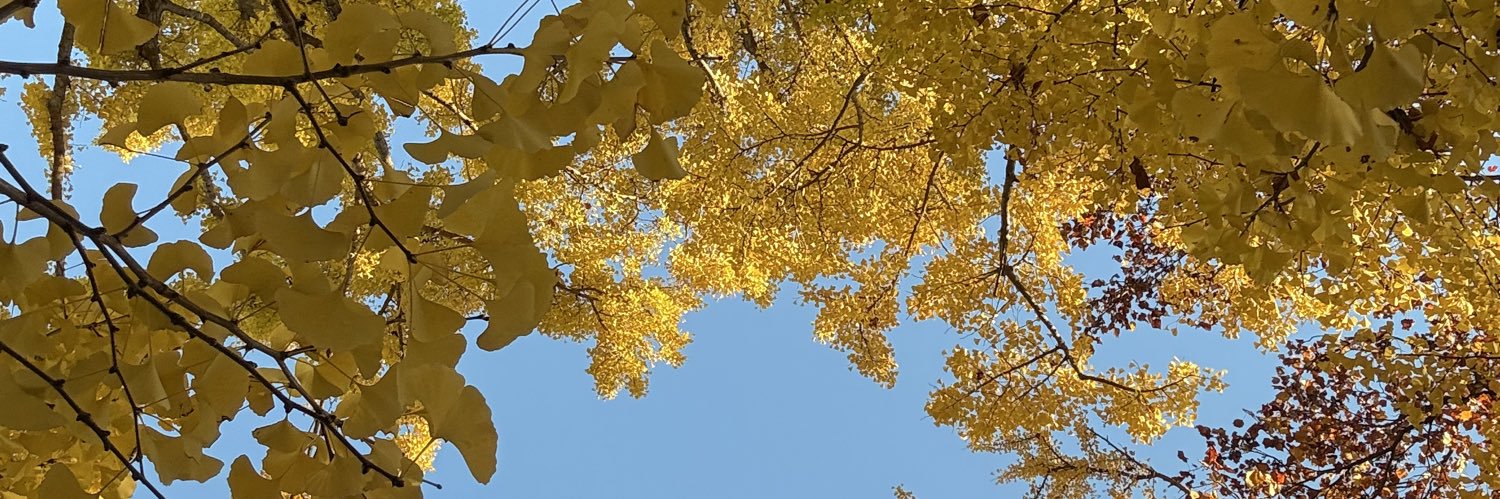k64yama's profile banner image