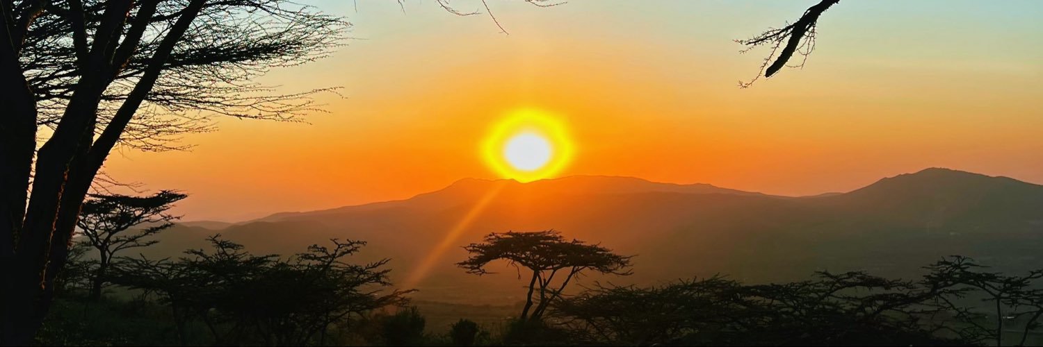 B_XLion's profile banner image