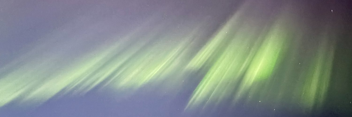 firefly919's profile banner image