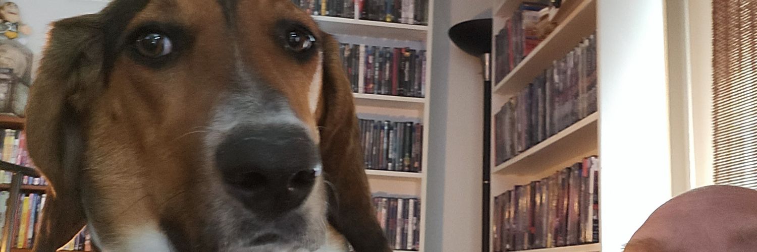 Jeevesdagod's profile banner image
