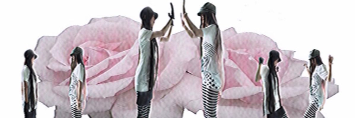 vaelis𝓈e banner