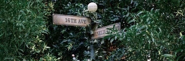 𝐍𝐮𝐭. banner