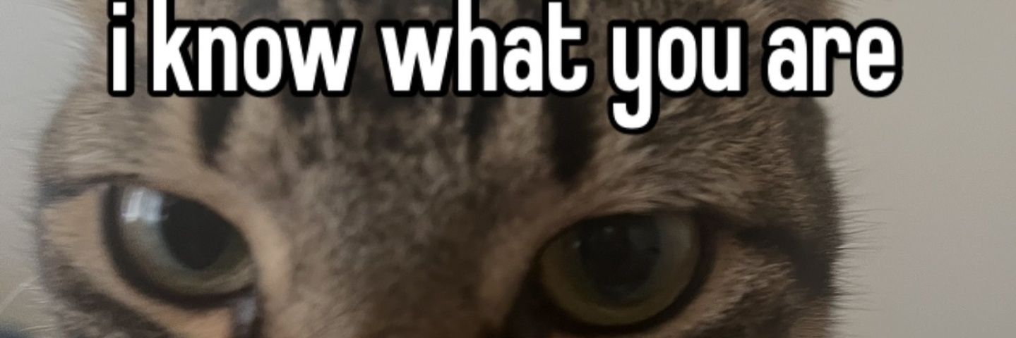 notsosalem's profile banner image