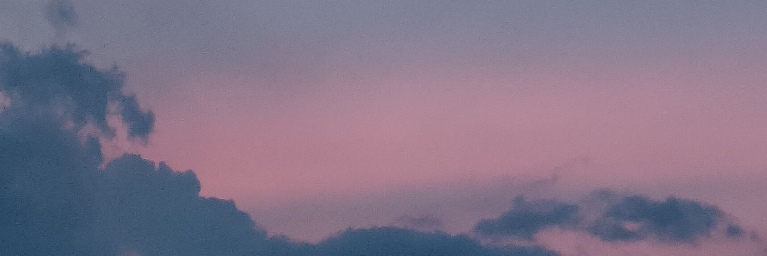 lebahmxdu's profile banner image