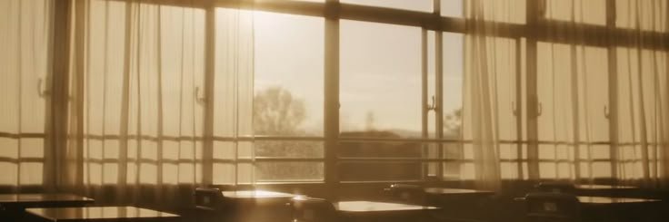 flowersofaugust's profile banner image