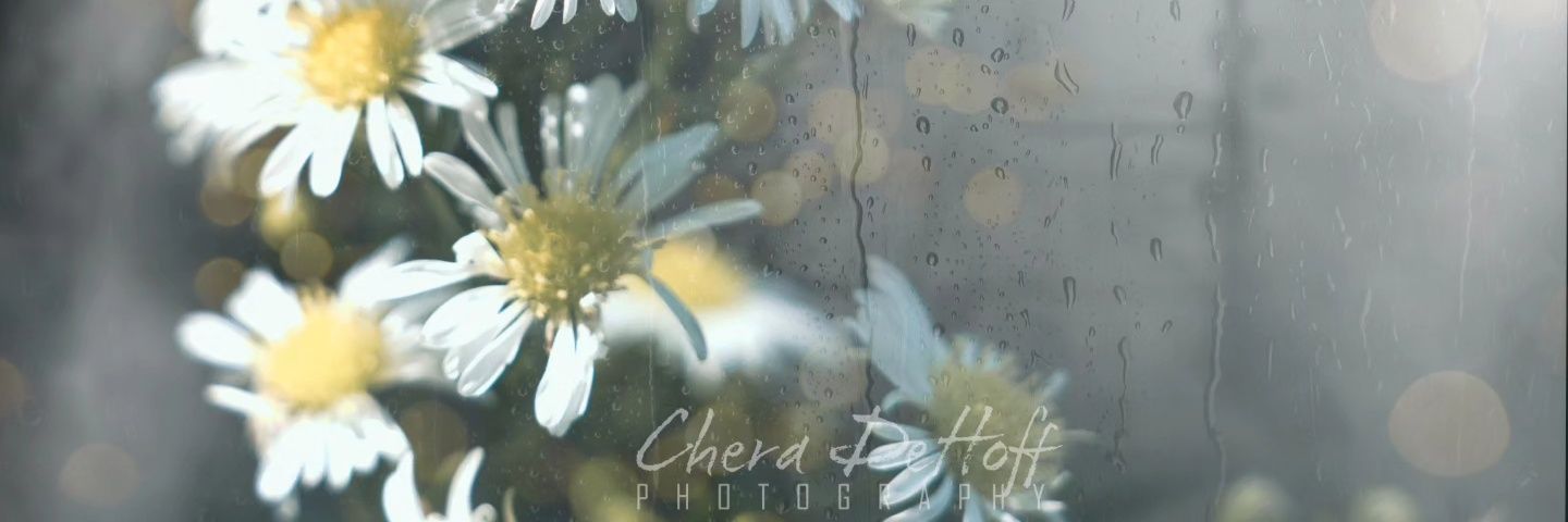 chera1110's profile banner image
