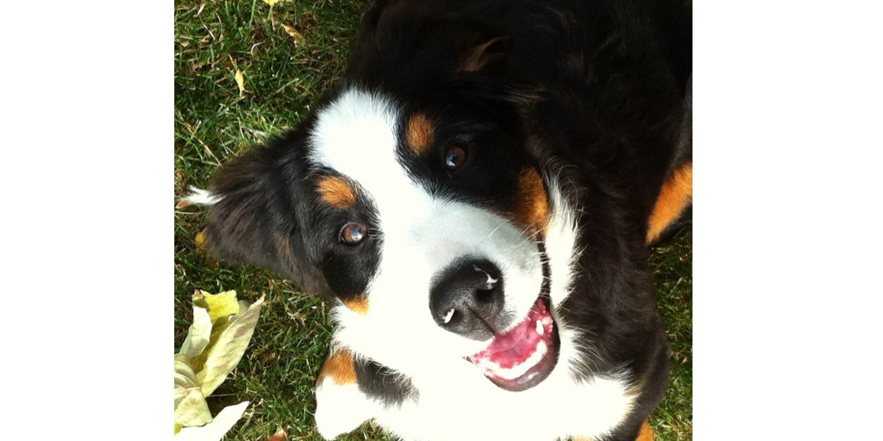 Everyday_Mr_Mom banner