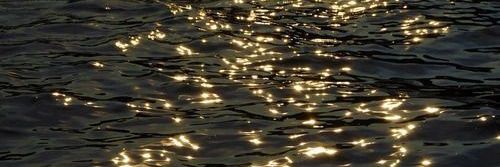 0.00 % rest banner