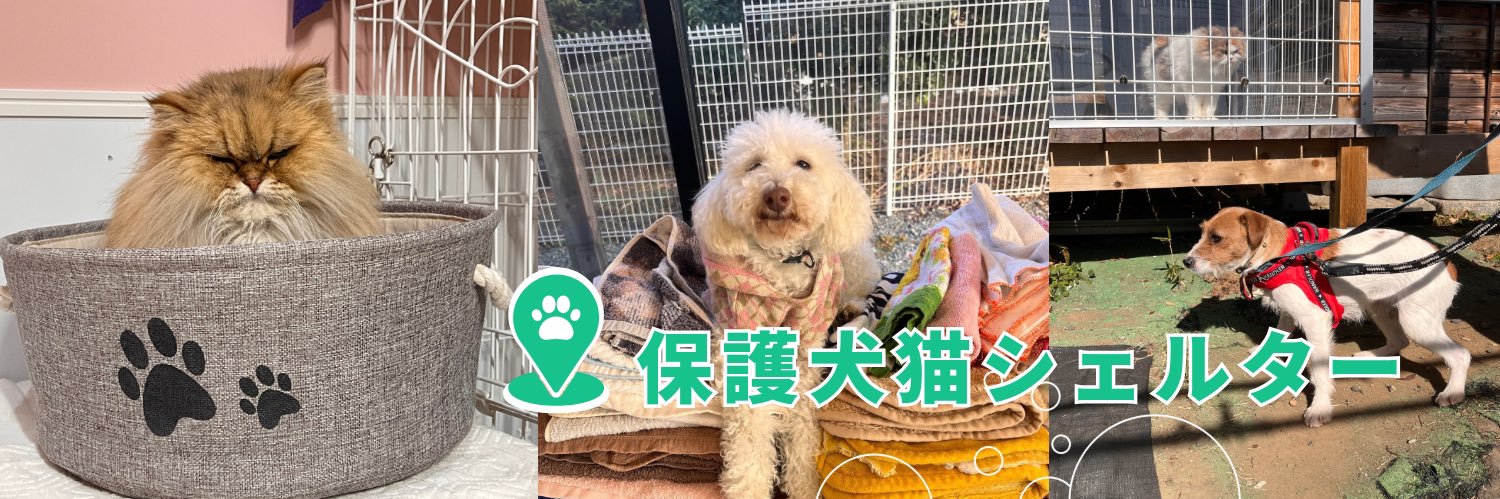 petfelice保護犬猫シェルター大宮見沼店 banner