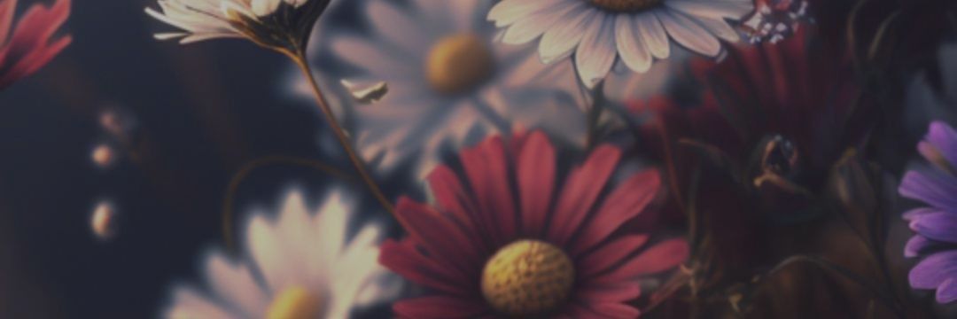 peechiz's profile banner image