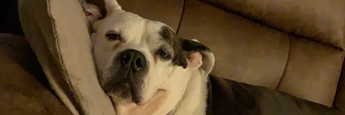 FaithTrustPixie's profile banner image