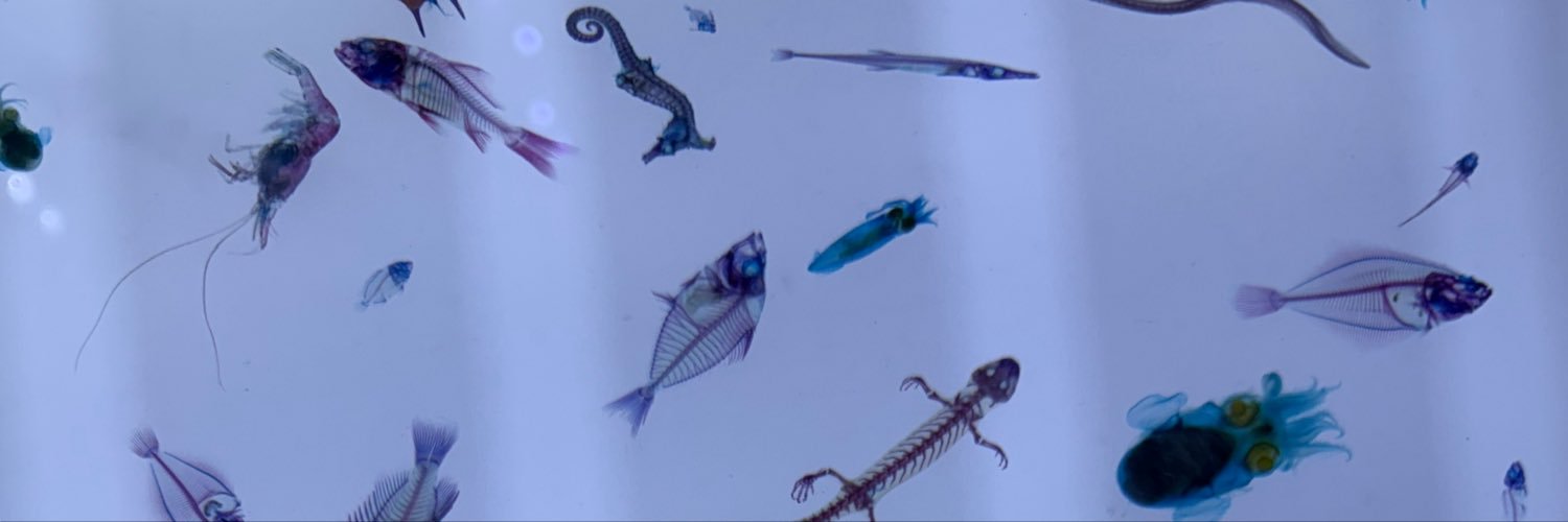 not__macaroni's profile banner image