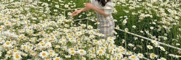 littledaisy_45 Profile Banner