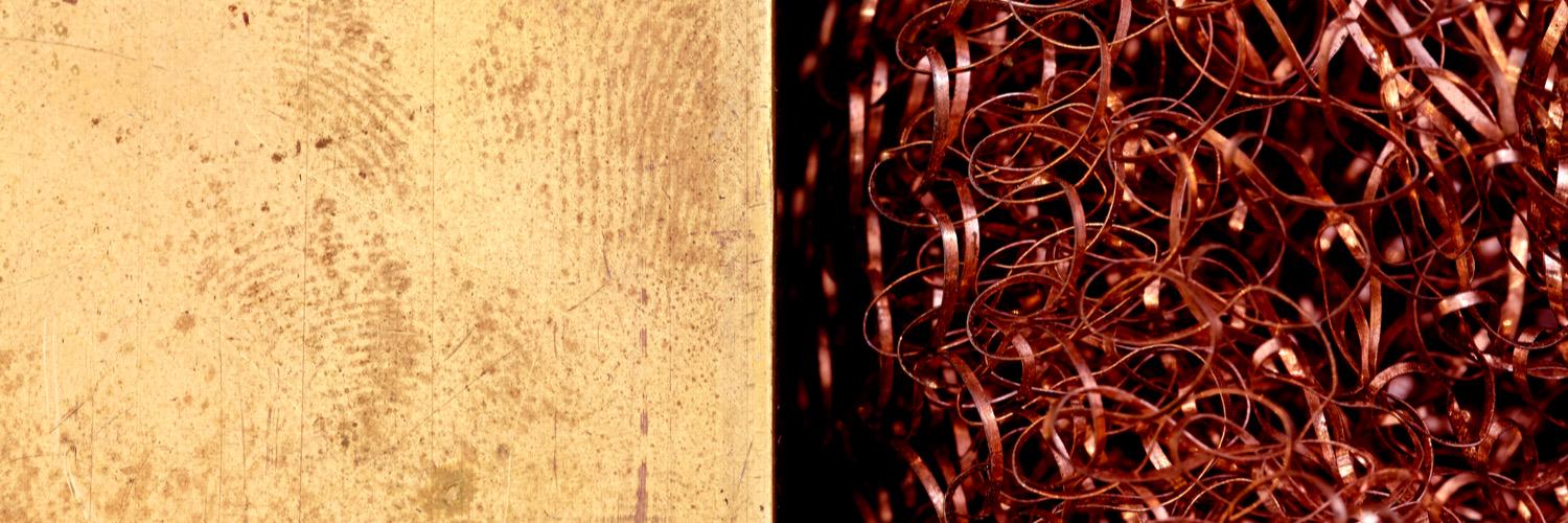 Liz Corbin banner