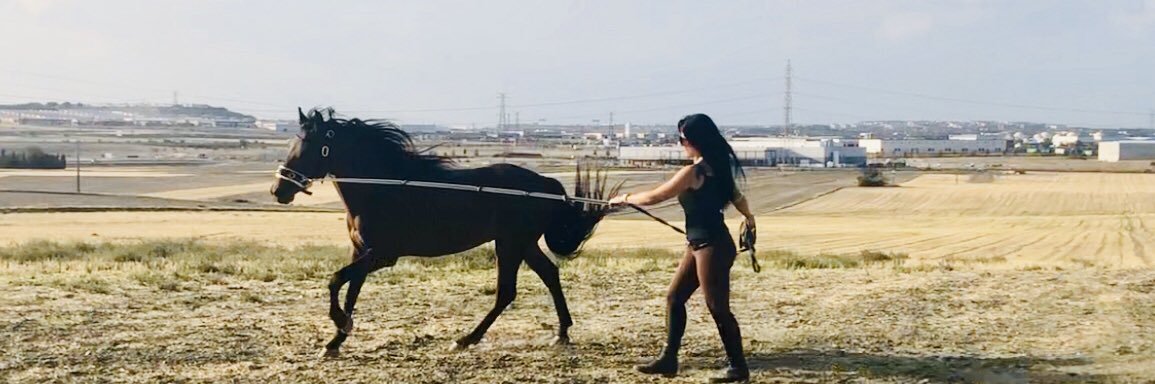 Isverarevilla's profile banner image
