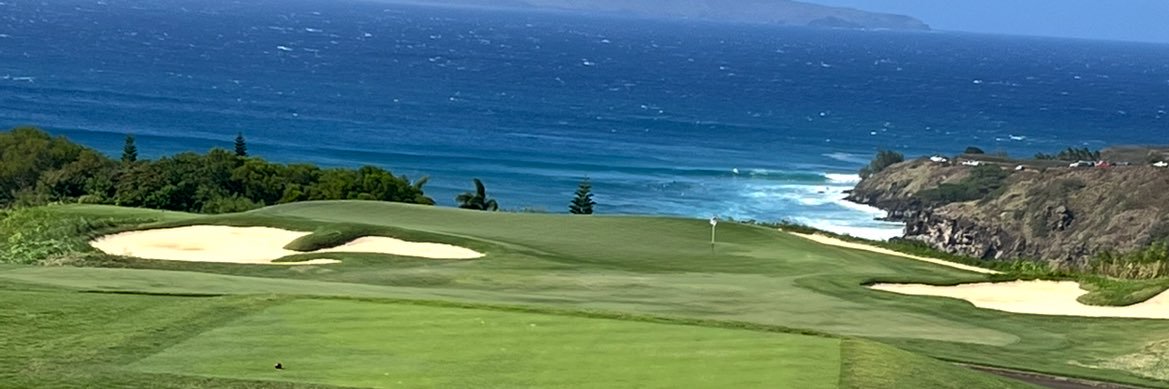 ryan 📈⛳️ banner