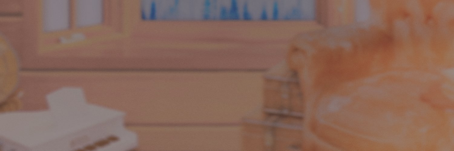 vitotdoll's profile banner image