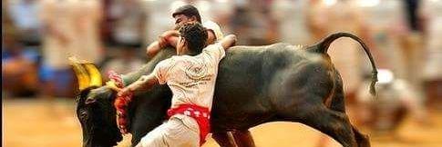 chiyanraja's profile banner image