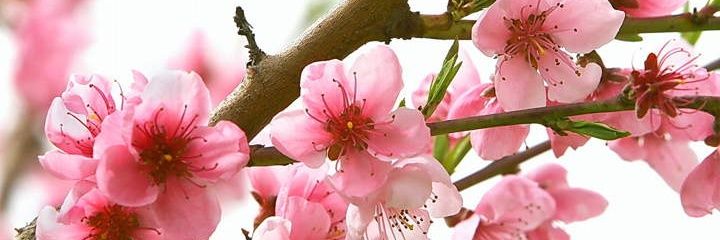 Tpbear22's profile banner image