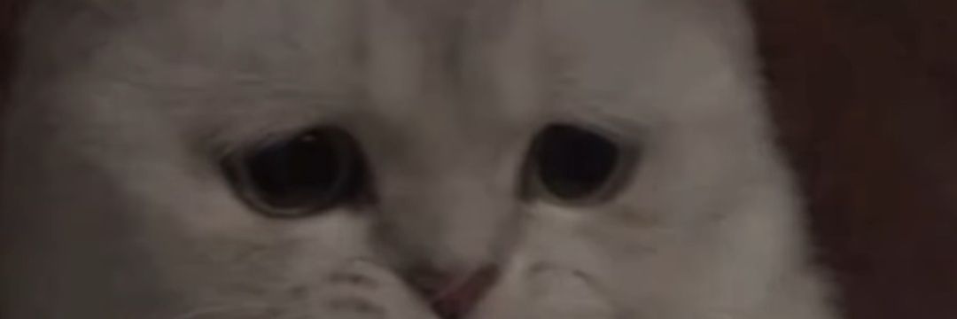 MrSharma018's profile banner image