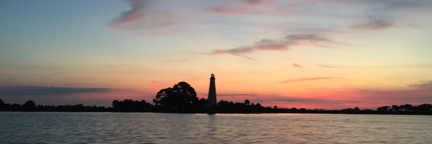 Jeanne_Lynn's profile banner image