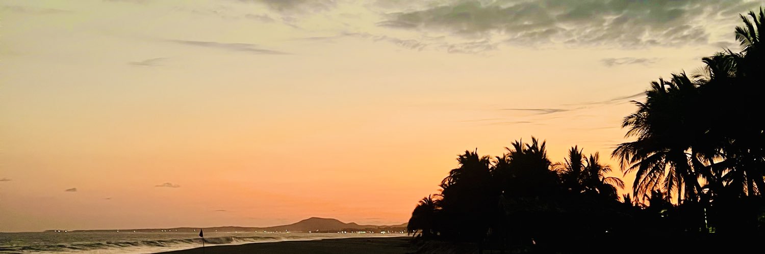 Netohrz's profile banner image