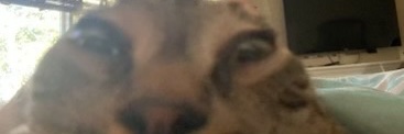 AjaxTexas's profile banner image