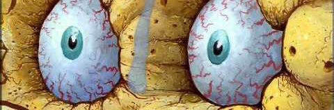 HotShrekFan's profile banner image