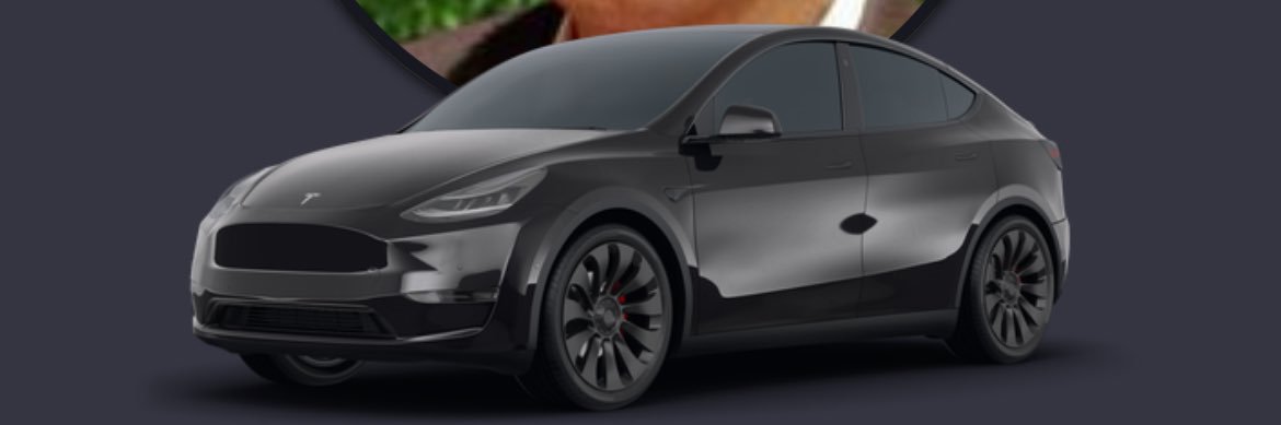 YourTeslaDriver's profile banner image