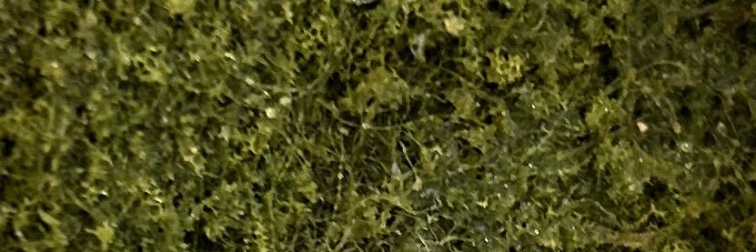 ron_ryu_i_so_'s profile banner image