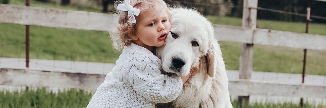 JuneBee Baby, Inc. banner