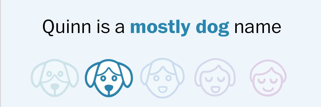 Quinn 🎾✨ banner