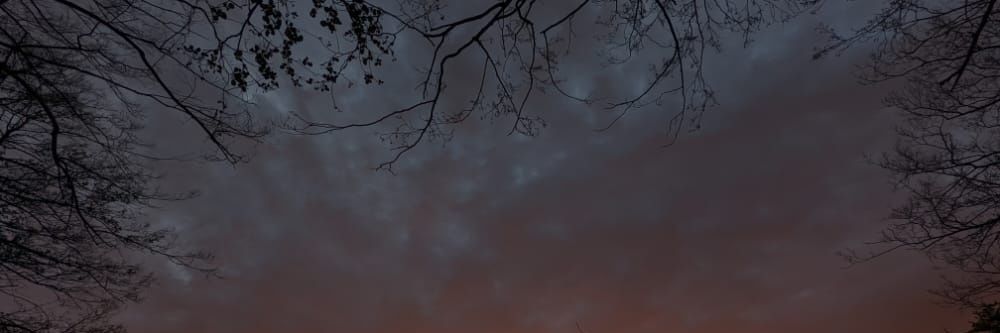kaiuwe's profile banner image