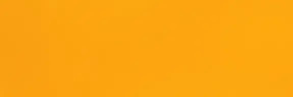 S501 banner